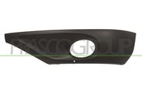 PRASCO VG8191250 - Rejilla de ventilación, parachoques