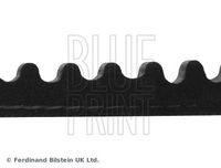 BLUE PRINT AD10V885 - Correa trapezoidal