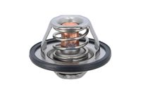 DT Spare Parts 12.18025 - Termostato, refrigerante