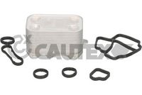 CAUTEX 462524 - Radiador de aceite, aceite motor
