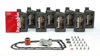TCMATIC 1051071001 - Kit, cambio de aceite del cambio automático
