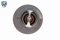 ACKOJA A32-99-1702 - Termostato, refrigerante