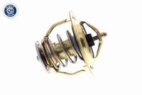 ACKOJA A37-99-0010 - Termostato, refrigerante