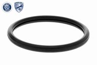 ACKOJA A52-99-0015 - Termostato, refrigerante