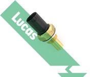 LUCAS SNB969 - Sensor, temperatura combustible