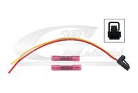3RG 30705 - Kit reparación cables, piloto matrícula