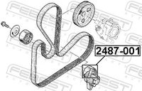 FEBEST 2487-001 - Polea tensora, correa poli V
