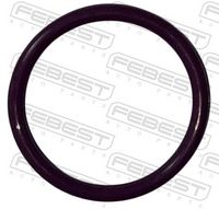 FEBEST 23400-023 - Junta tórica, conducto refrigerante