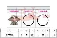MDR EPS-1880 982 - Termostato, refrigerante