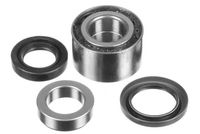 JAPKO 425018 - Juego de cojinete de rueda