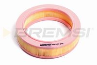 BREMSI FA1631 - Filtro de aire