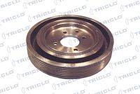 TRICLO 421202 - Polea, cigüeñal