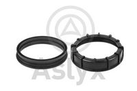 Aslyx AS535703 - Correa de sujeción, depósito de combustible