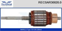 RECOFICIAL RECSAR300200 - Inducido, motor de arranque