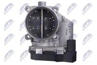 NTY ETB-AU-011 - Cuerpo de mariposa