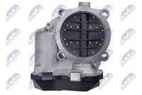 NTY ETB-AU-011 - Cuerpo de mariposa