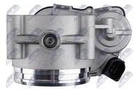 NTY ETB-AU-011 - Cuerpo de mariposa