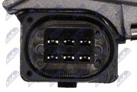 NTY ETB-AU-011 - Cuerpo de mariposa