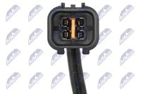 NTY ESL-MS-000 - Sonda Lambda