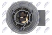 NTY EZ-FR-004 - Soporte de lámpara, luz trasera