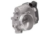 SIDAT 88223 - Cuerpo de mariposa